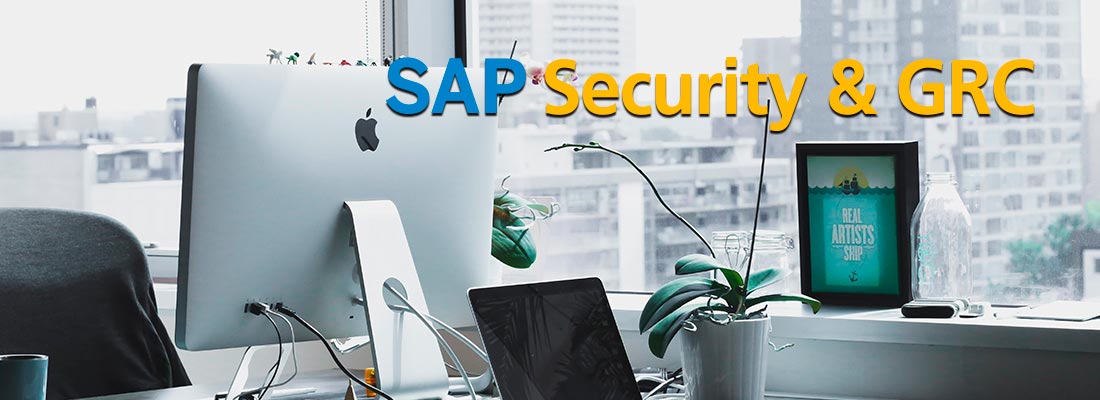 SAP_SECURITY_2